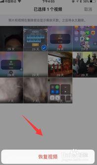苹果末删视频在线观看,精彩瞬间在线重温  第2张